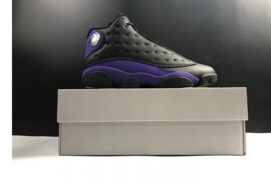 Air Jordan Retro DJ5982-015 Court Purple DJ5982-015 13  0630